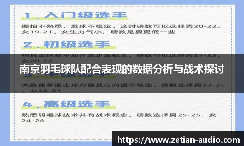 南京羽毛球队配合表现的数据分析与战术探讨